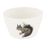 Schaaltje forest animals - 13 cm