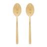 Theelepels - goudkleurig - set van 2