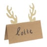 Naamkaartjes rendier - 10x8 cm - set van 10