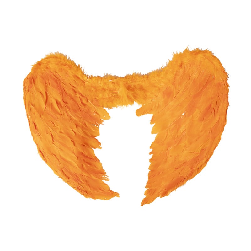 Oranje vleugels - veren - 60x40 cm