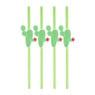 Rietjes cactus - set van 4