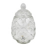 Sapkan Ananas - 6 liter