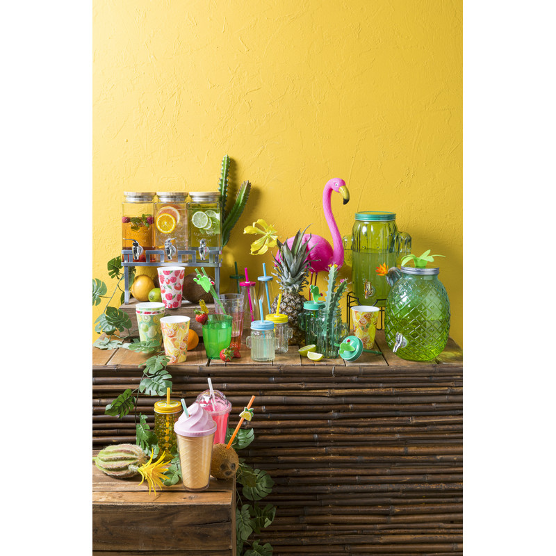 Cactus mason jar - 45 cl
