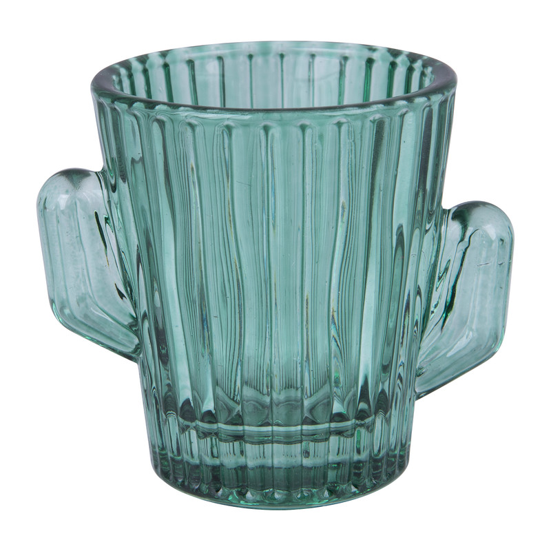 Shotglaasje cactus