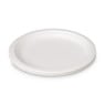 Borden bagasse - ø22.5 cm - set van 8