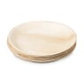 Borden palmblad - ø22.5 cm - set van 6