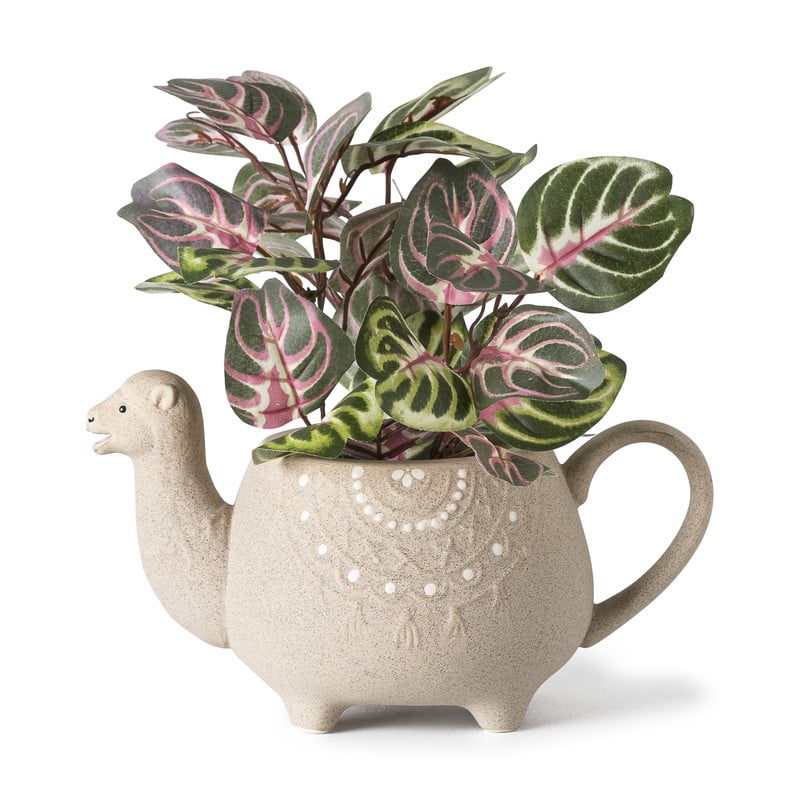 Theepot lama - crème - 900 ml