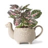 Theepot lama - crème - 900 ml