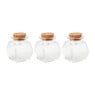 Mini voorraadpotje met kurk - set van 3 - 50 ml