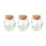 Mini voorraadpotje met kurk - set van 3 - 50 ml