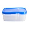 Diepvriesdozen - set van 10 - 29,5x19,5x12,8 cm