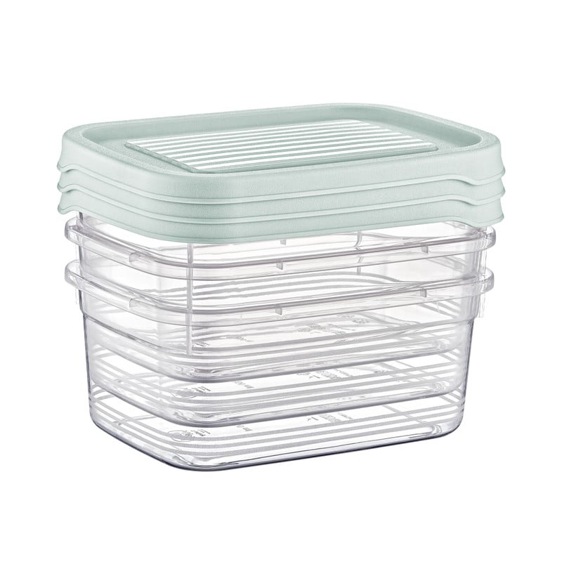 Vershoudbakjes - 500 ml - set van 3