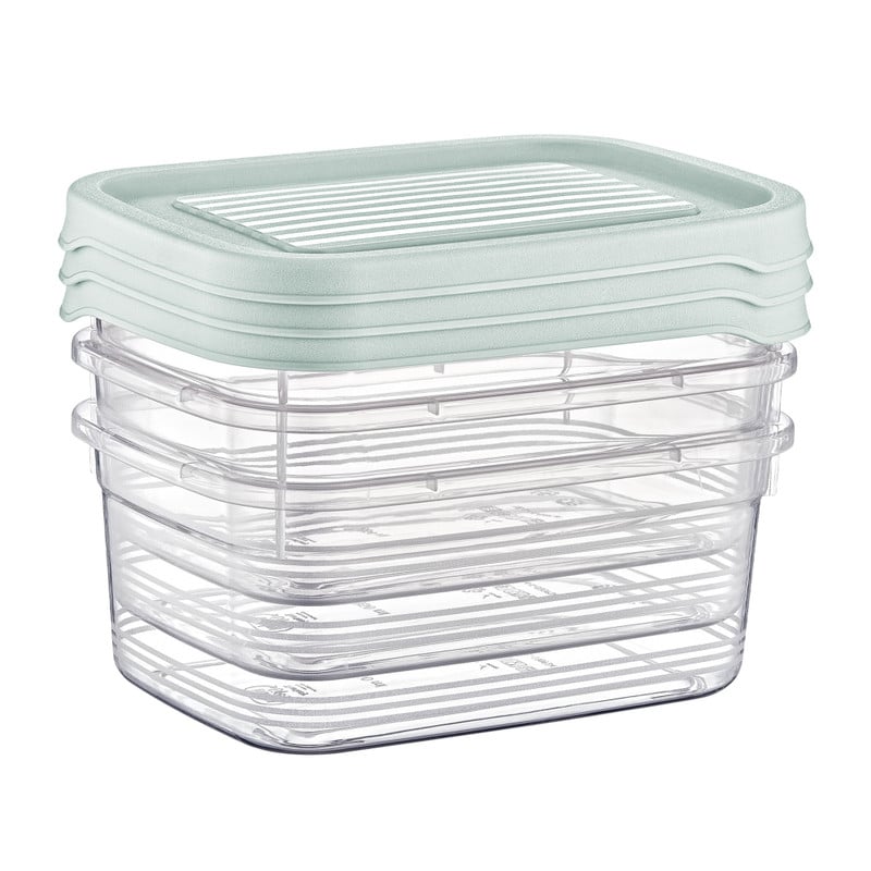 Vershoudbakjes - 850 ml - set van 3