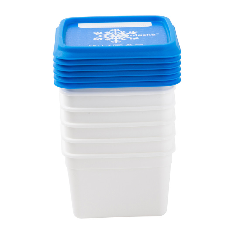Diepvriesdoosjes S - blauw/wit - set van 6