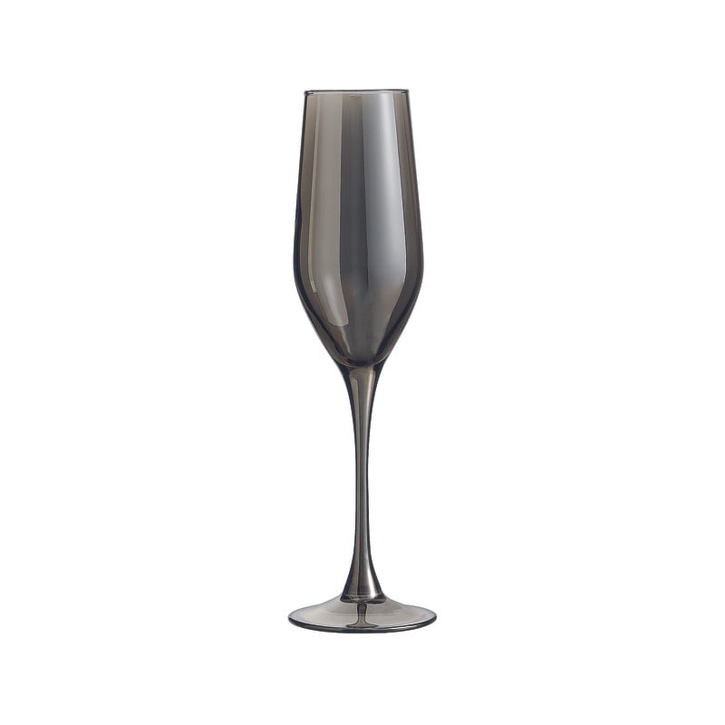 Champagneglazen grijs - 16 cl - set van 4