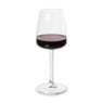 Wijnglas Leyda - glas - 430 ml