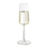 Champagne glas Leyda - glas - 220 ml