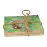 Onderzetters  tropical - set van 4