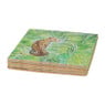 Onderzetters  tropical - set van 4