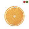 Koelelement fruit - diverse varianten - 16x16x0.5 cm 