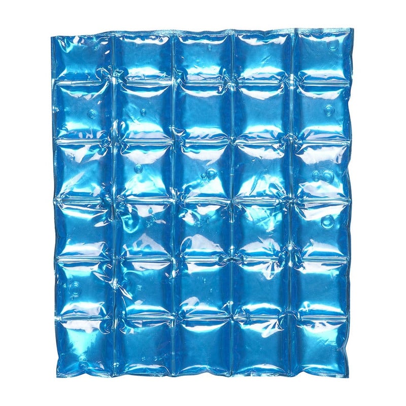 Ice-pack voor coolerbags