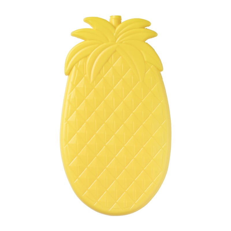 Koelelement fruit - diverse varianten - 20x11 cm