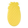 Koelelement fruit - diverse varianten - 20x11 cm
