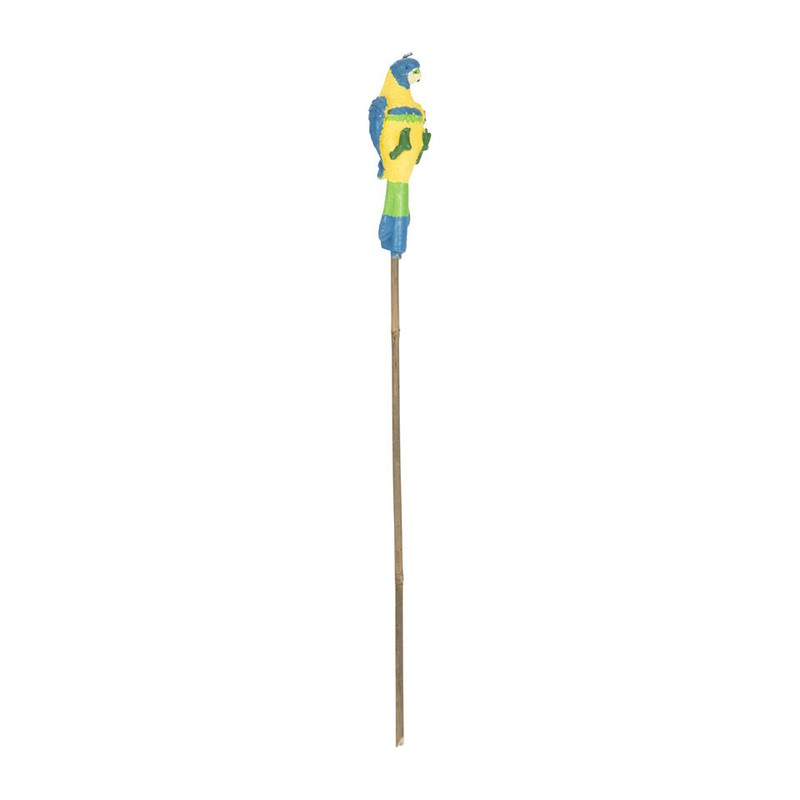 Tuinfakkel papegaai - blauw 