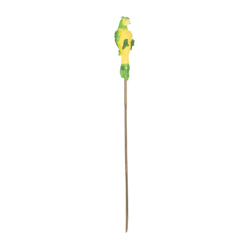 Tuinfakkel papegaai - groen 