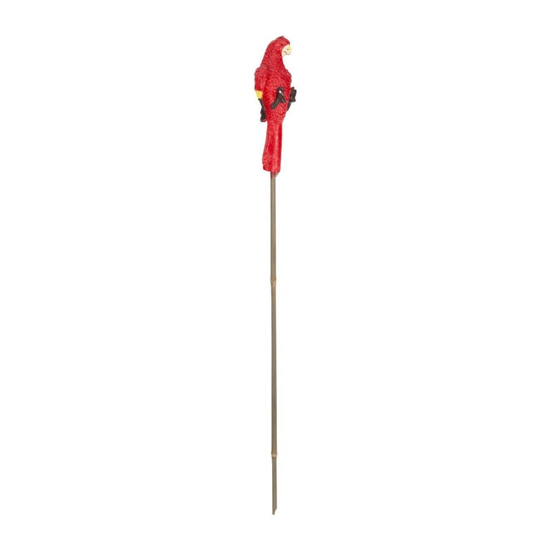 Tuinfakkel papegaai rood