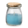 Citronella kaars in glas - set van 3