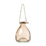 Wespenvanger glas - diverse kleuren - ⌀12x16 cm 