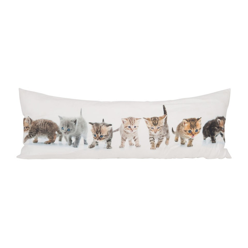 Sierkussen katten - 80x30 cm 