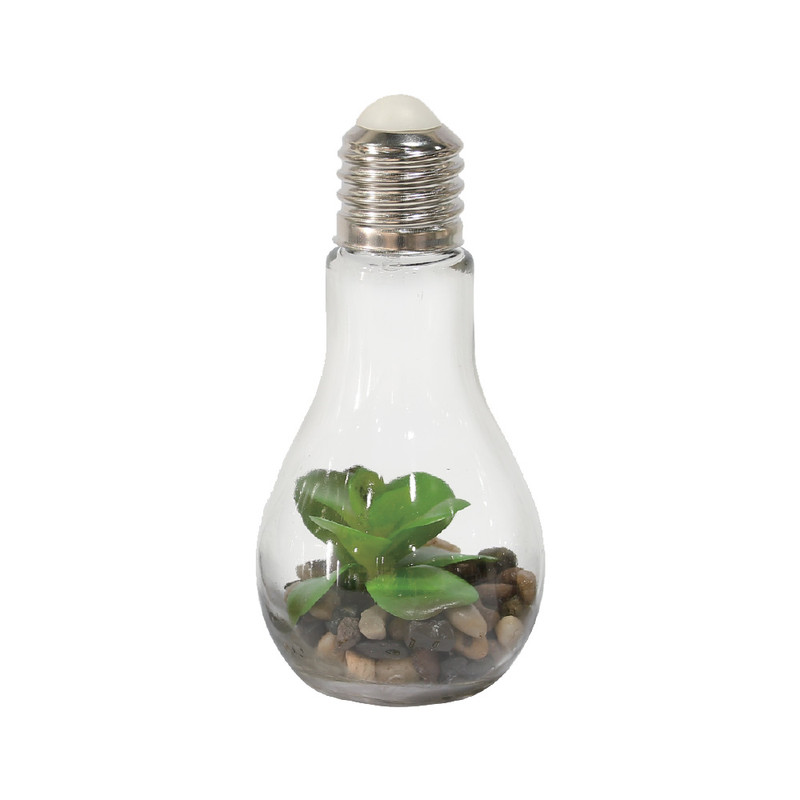 Decoratie LED lamp met plant - diverse varianten