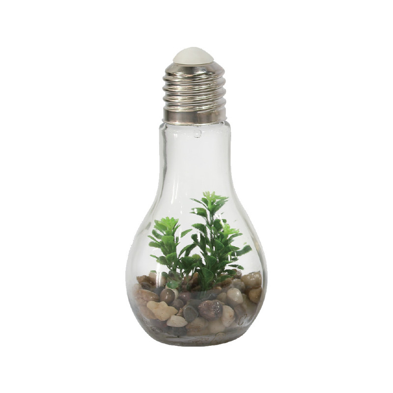 Decoratie LED lamp met plant - diverse varianten