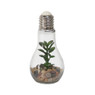 Decoratie LED lamp met plant - diverse varianten