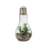Decoratie LED lamp met plant - diverse varianten