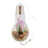 Decoratie LED lamp met plant - diverse varianten