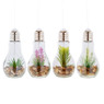 Decoratie LED lamp met plant - diverse varianten