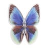 Vlinderlampjes - diverse varianten - 10x9.5x5.5 cm
