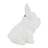 Spaarpot hond - wit