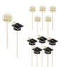 Cocktailprikkers met geslaagd - zwart/goud - set van 12