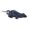 Halloween dieren - set van 5
