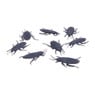 Halloween dieren - set van 5
