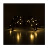 Grote spin met LED - zwart - 35x55 cm