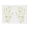 Glow in the dark tattoo handen skelet - 18 cm