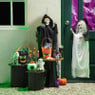 Halloween deco flesje spin - ø8x21.8 cm
