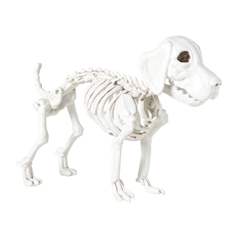 Halloween decoratie hondenskelet - wit - 21x27x12 cm