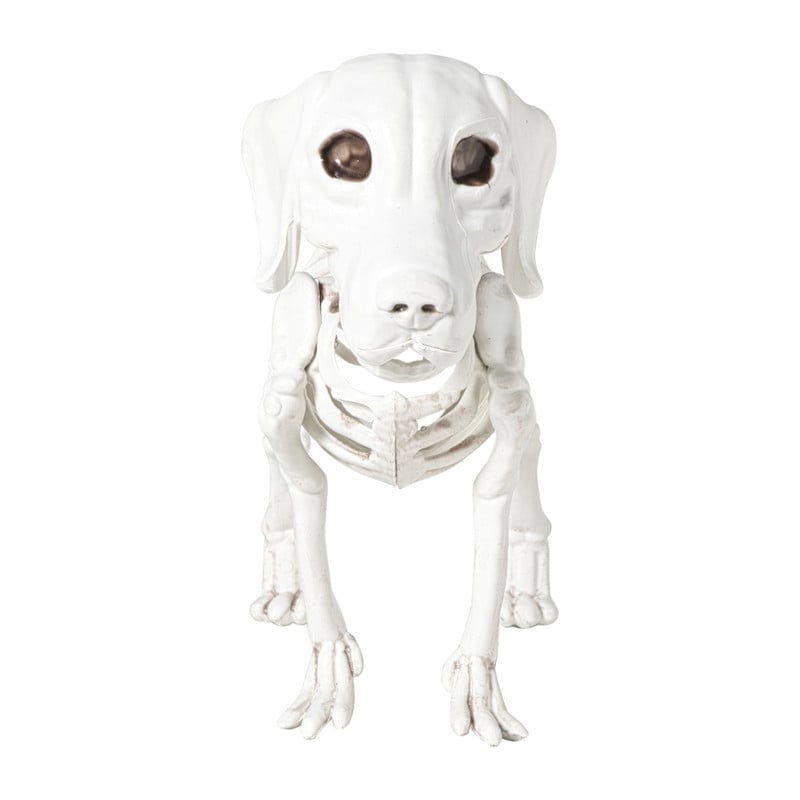 Halloween decoratie hondenskelet - wit - 21x27x12 cm