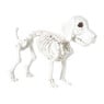 Halloween decoratie hondenskelet - wit - 21x27x12 cm